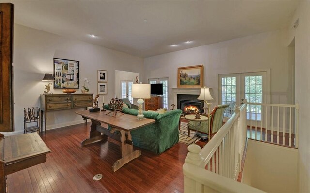 living room with wood-type flooring, french doors, and a wealth of natural light