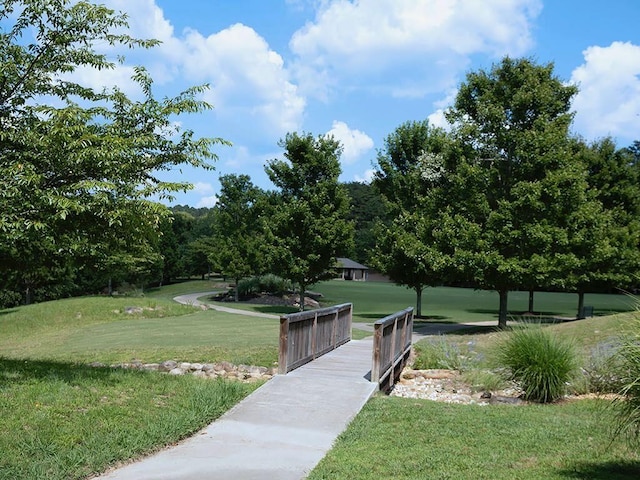 712 Broken Arrow, Waleska, GA 30183 - view of home's community featuring a yard