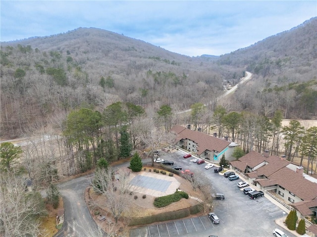 bird's eye view with a mountain view