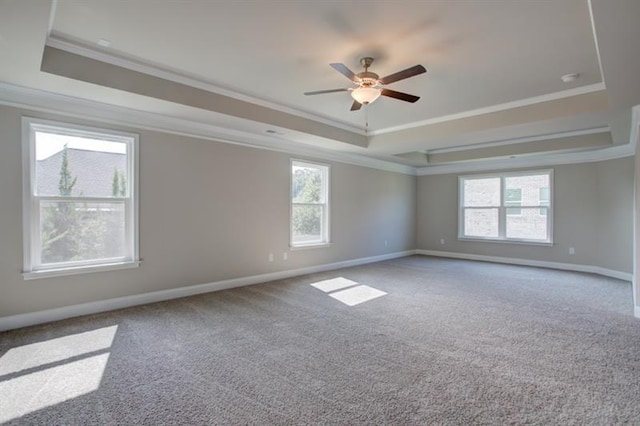 carpeted empty room featuring baseboards, a raised ceiling, a ceiling fan, and crown molding