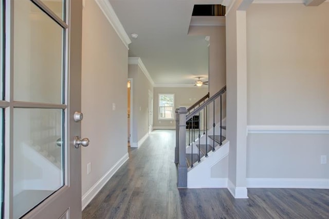 entrance foyer with crown molding and dark hardwood / wood-style flooring