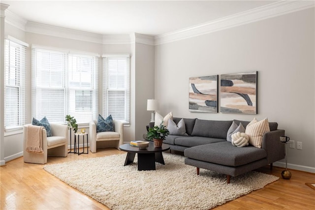 living room with crown molding and hardwood / wood-style flooring