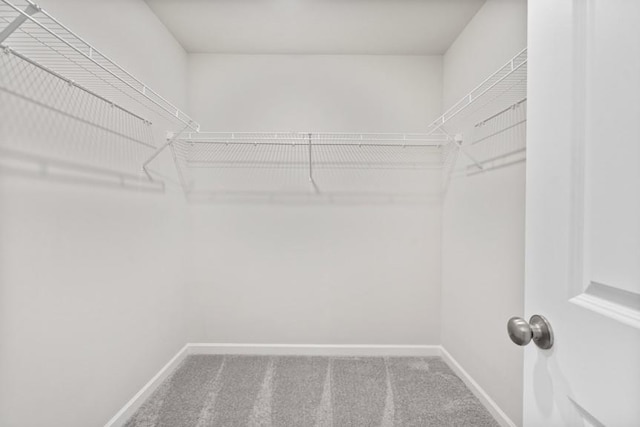 spacious closet with carpet flooring