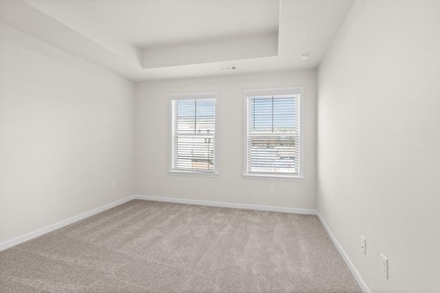 empty room with light carpet and a tray ceiling