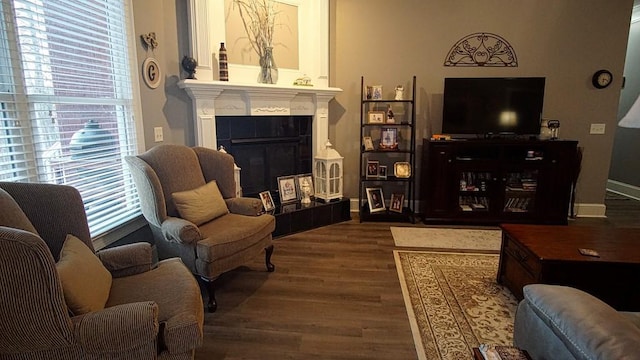 living room with a fireplace and dark wood-type flooring