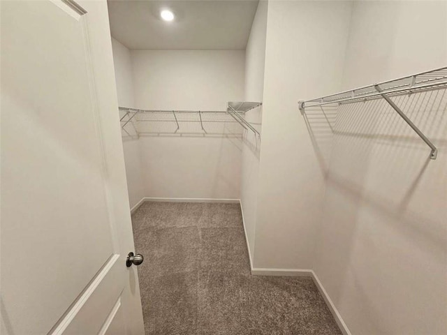 spacious closet with carpet floors