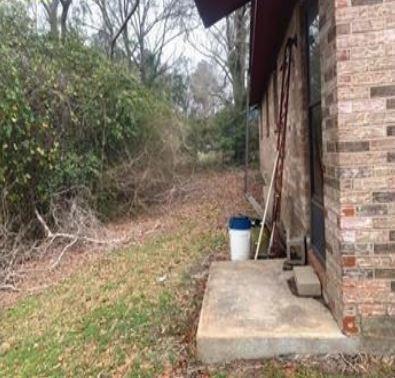 151 Rosa Parks St, Camden, AL 36726 - view of yard