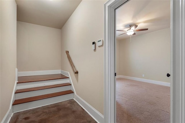 stairway with carpet flooring and ceiling fan