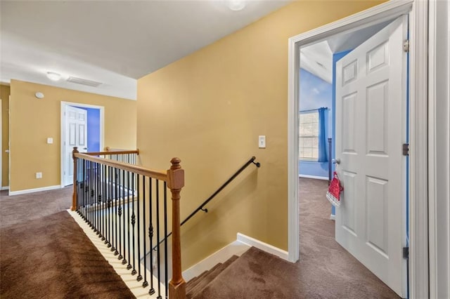 stairway featuring carpet floors