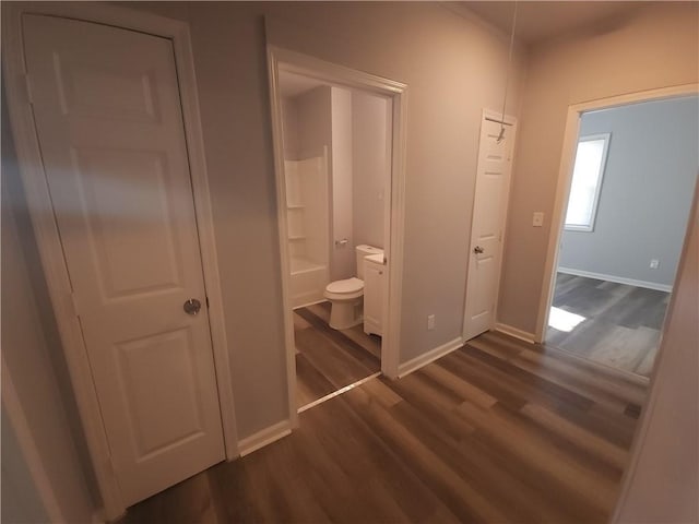 interior space featuring dark wood-type flooring