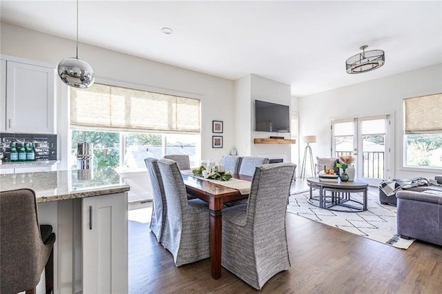 dining area featuring a wealth of natural light and dark hardwood / wood-style flooring