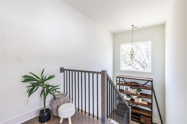 stairway with hardwood / wood-style flooring