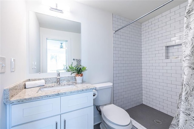 bathroom with vanity, toilet, and a shower with curtain