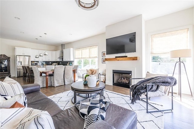 living room featuring light hardwood / wood-style floors