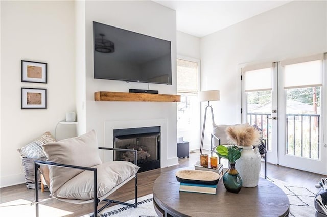 living room featuring wood-type flooring