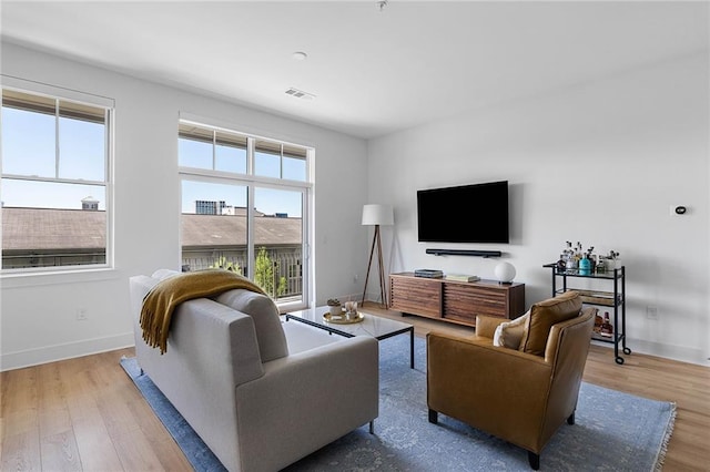 living room featuring hardwood / wood-style floors