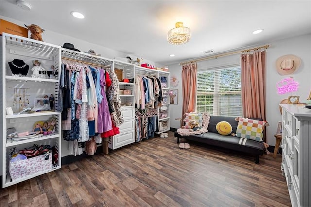 501 Rabun Ct, Canton, GA 30115 - spacious closet with dark wood-style flooring