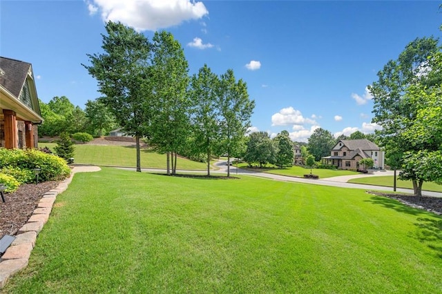 501 Rabun Ct, Canton, GA 30115 - view of grassy yard