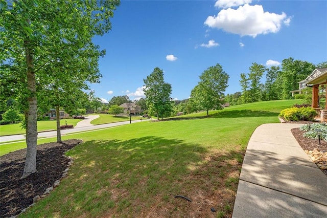 501 Rabun Ct, Canton, GA 30115 - view of property's community featuring a lawn