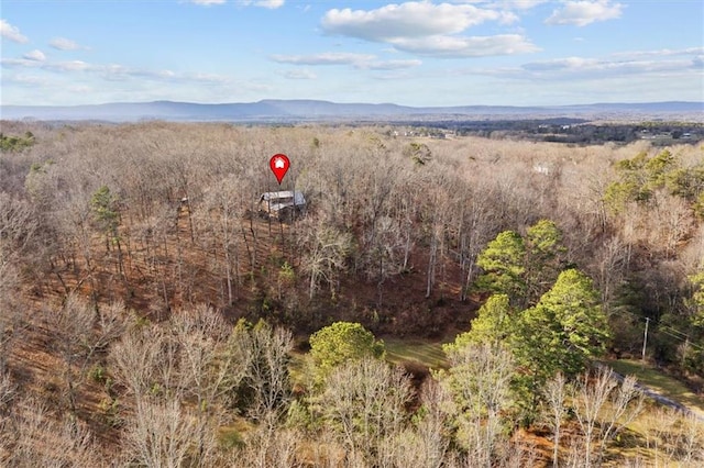 bird's eye view with a mountain view