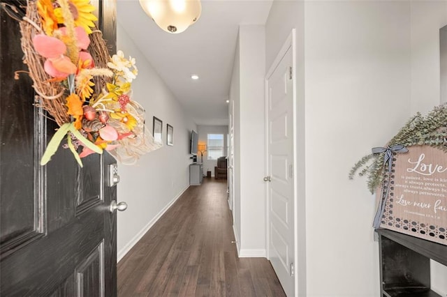 hall featuring dark wood-type flooring