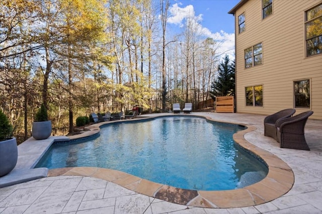 view of pool with a patio