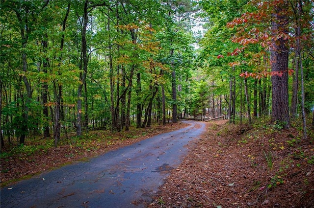 view of road featuring a wooded view
