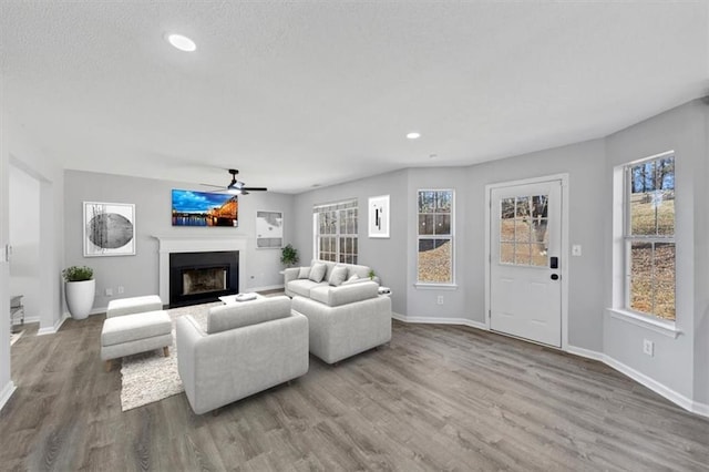 living room with ceiling fan and wood-type flooring