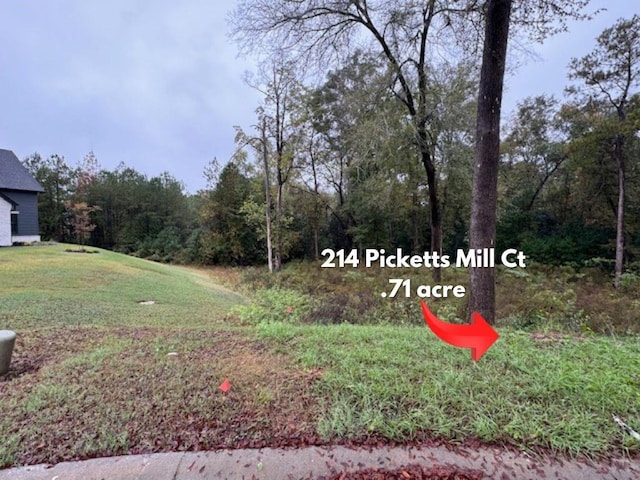 Listing photo 3 for 214 Picketts Mill Ct, Bonaire GA 31005