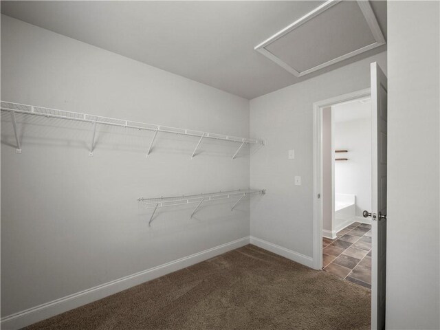 385 Finch Landing Rd, Winder, GA 30680 - spacious closet featuring dark carpet