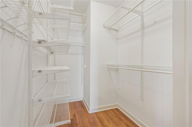 spacious closet featuring wood finished floors