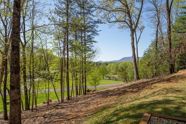 property view of mountains