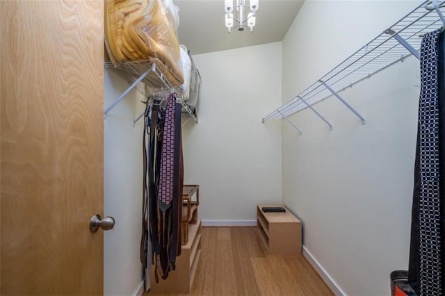 spacious closet featuring wood finished floors