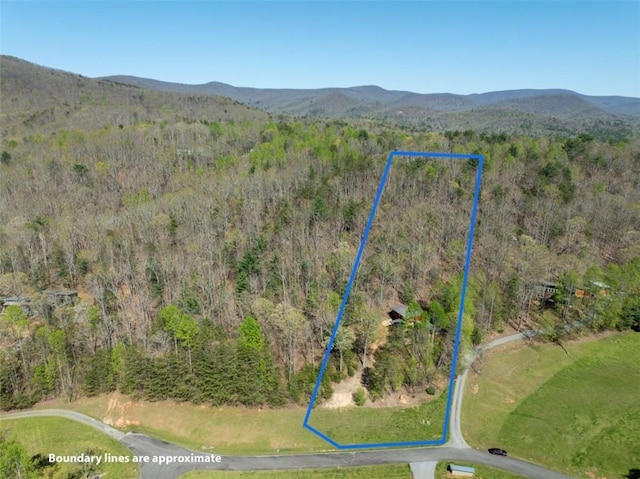 birds eye view of property featuring a forest view and a mountain view