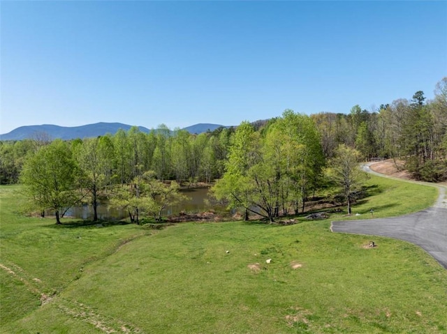 view of property's community featuring a mountain view and a lawn