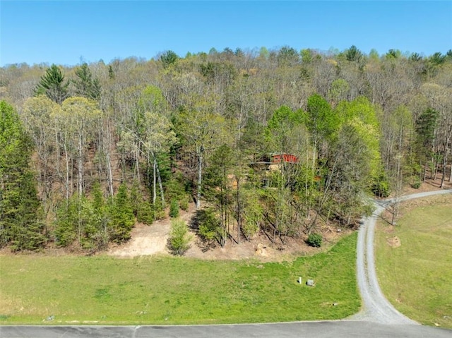 aerial view with a view of trees