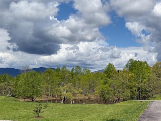 view of community with a yard
