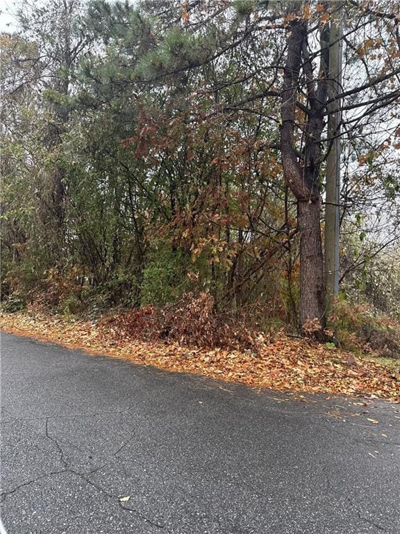 4867 Miller Rd, Atlanta GA, 30349 land for sale