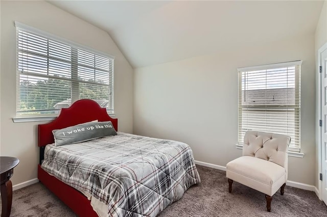 2486 Bear Mountain St, Lithonia, GA 30058 - bedroom featuring carpet and lofted ceiling