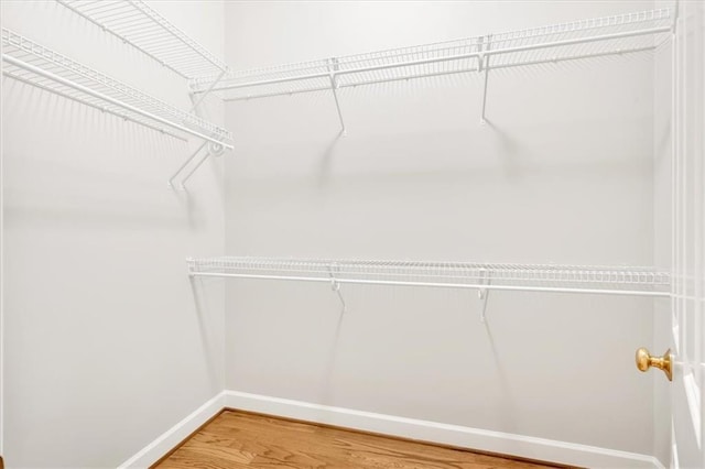 spacious closet with light wood-style flooring