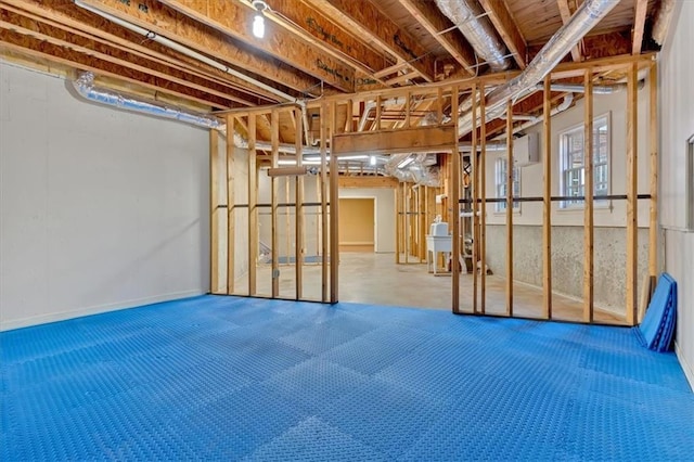 basement featuring carpet