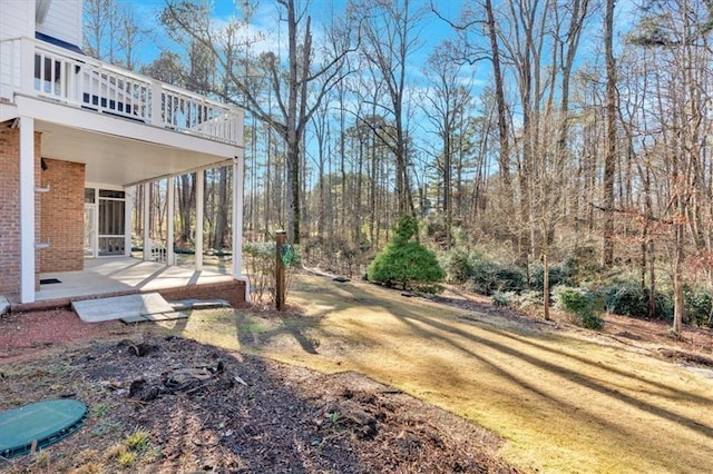 view of yard featuring a patio area
