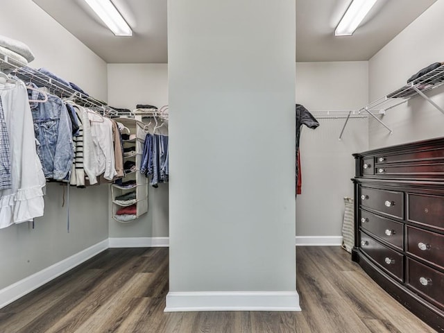 walk in closet with wood finished floors