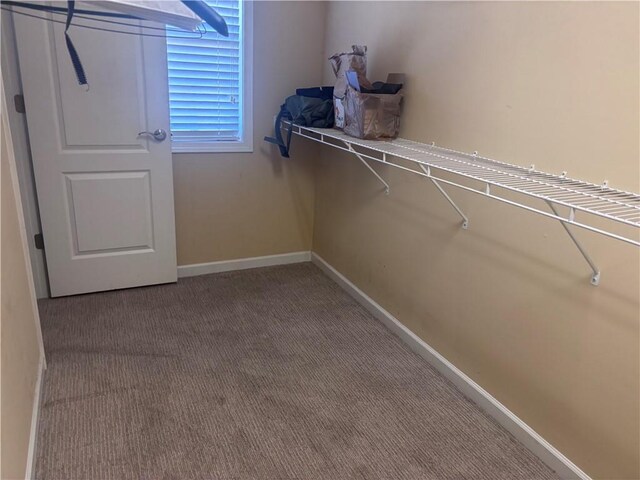 2610 Gadsen Walk, Duluth, GA 30097 - walk in closet with carpet floors