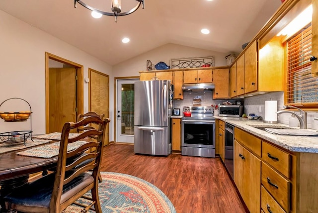 kitchen with lofted ceiling, sink, stainless steel appliances, and dark hardwood / wood-style floors