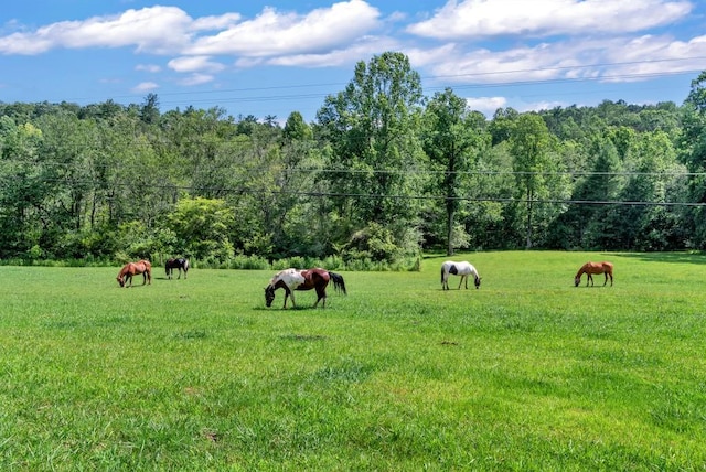 view of community with a lawn and a rural view