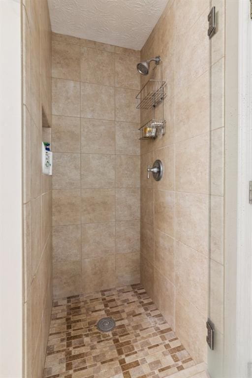 2277 Lazy Days Rd, Dacula, GA 30019 - bathroom with a tile shower