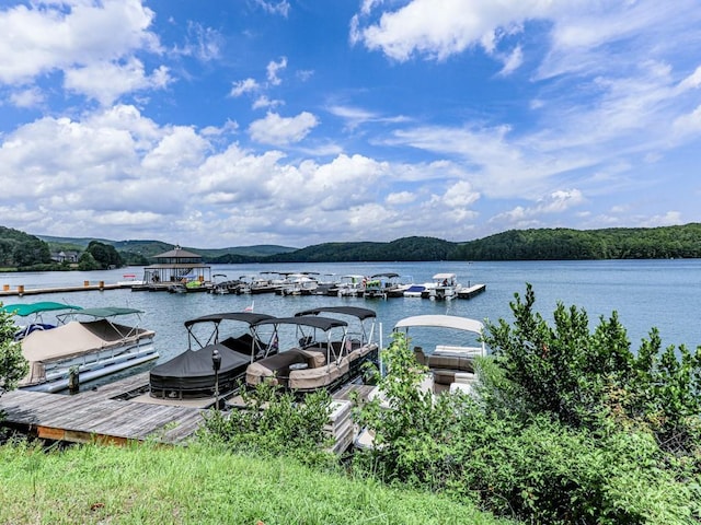 dock area with a water view