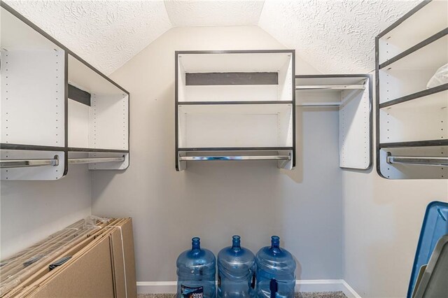 workout area featuring crown molding, a textured ceiling, and carpet flooring