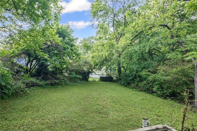1591 Jonesboro Rd SE, Atlanta, GA 30315 - view of yard